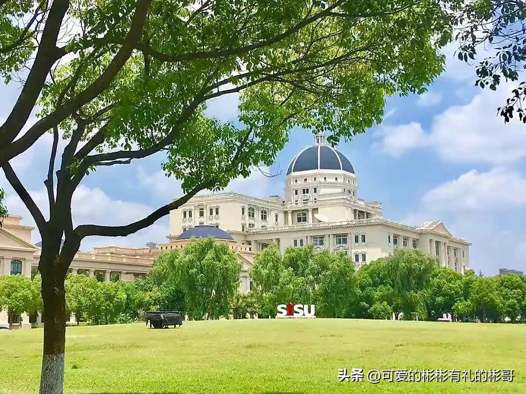 上海外国语大学就业率最高的专业,上海外国语大学英语专业就业前景