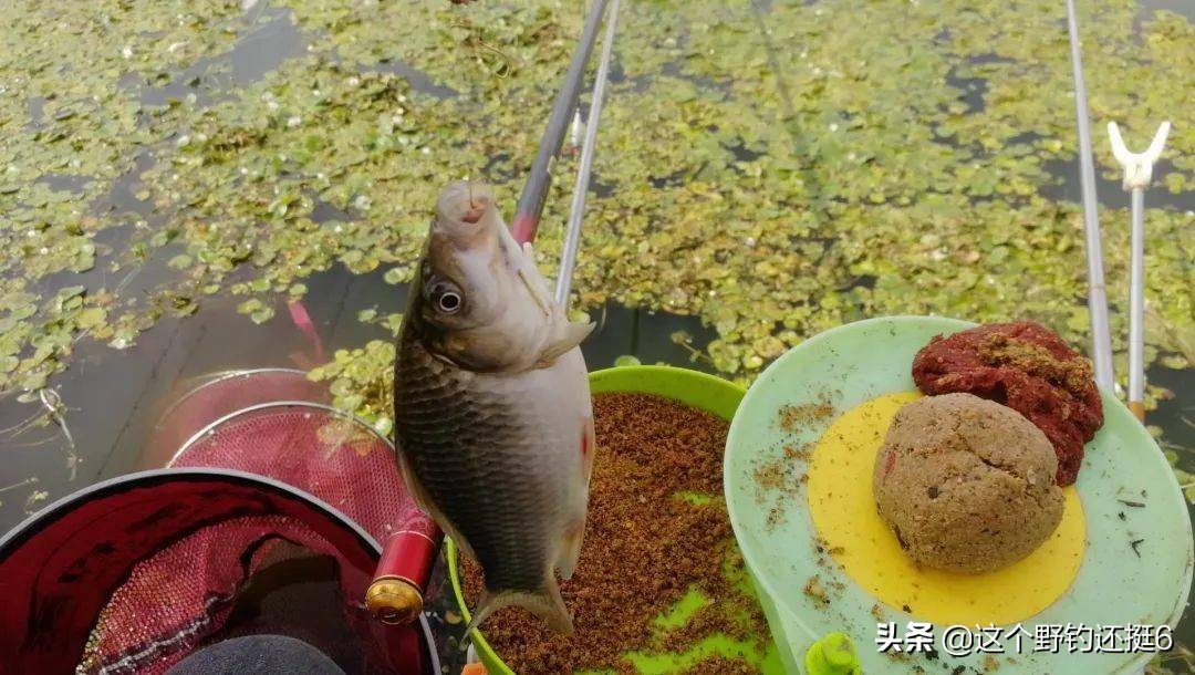 怎么调漂可以忽略饵重和换钓位,调漂的正确方法野钓只调一次