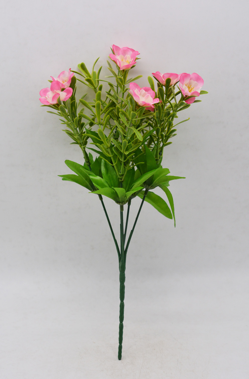 樱花的寓意和花语的作文,樱花的寓意和花语是什么