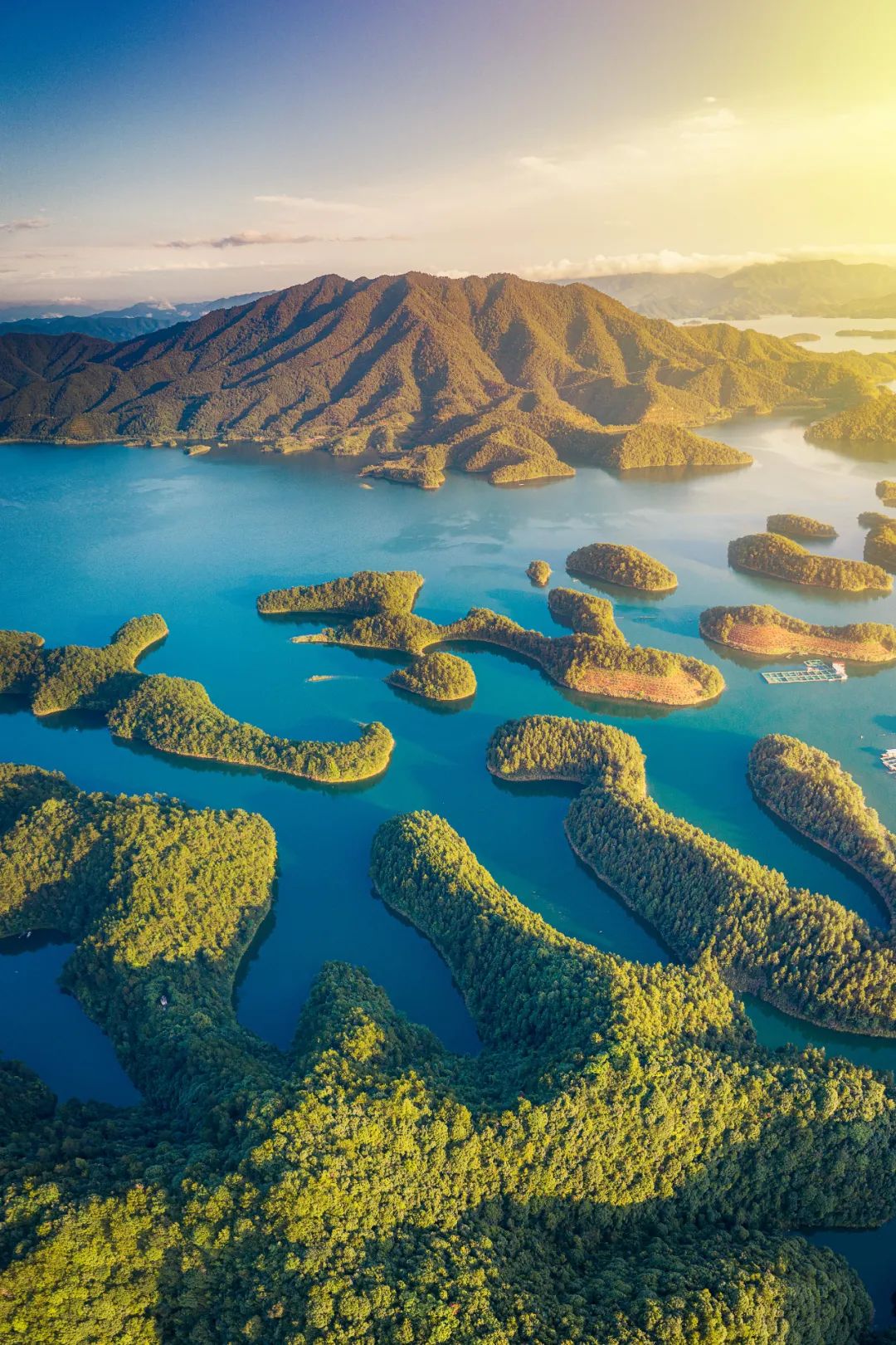 什么牌子水泡茶最好喝,什么牌子的水泡茶最好喝