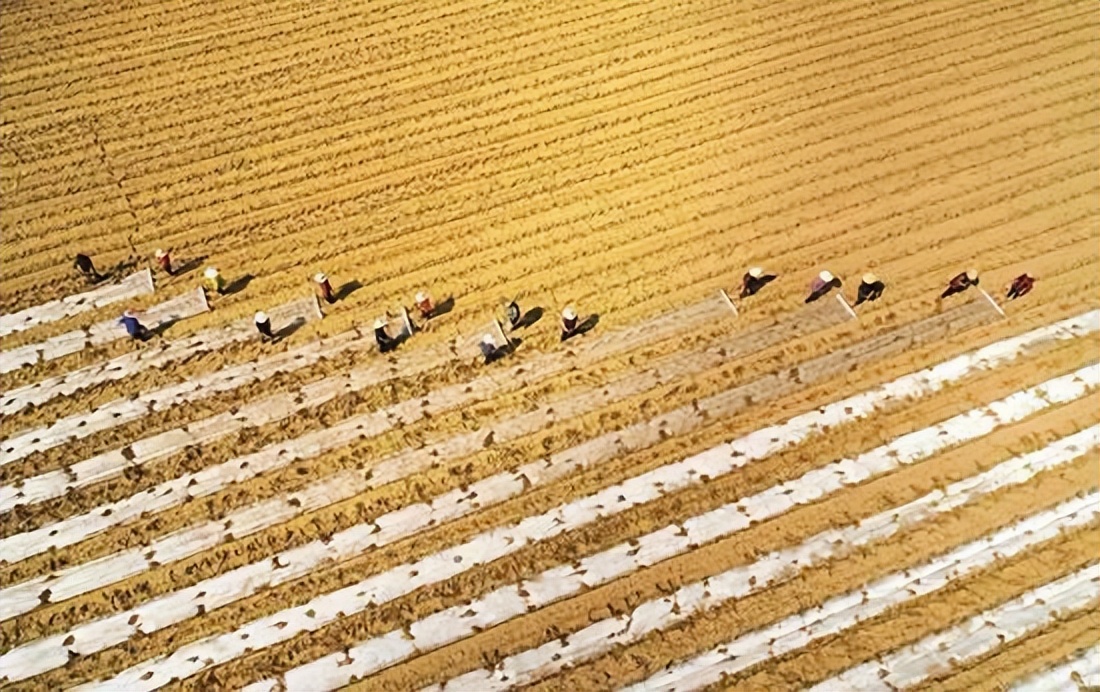 贫困地区农业发展现状,扶贫农业发展前景