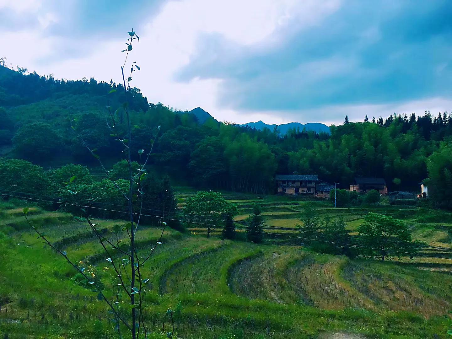 江西铜鼓天柱峰汤里一日游,铜鼓天柱峰和汤里温泉二日游