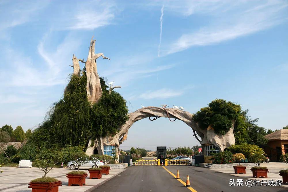 菏泽一日游最佳景点一览表,菏泽最值得一游的景点