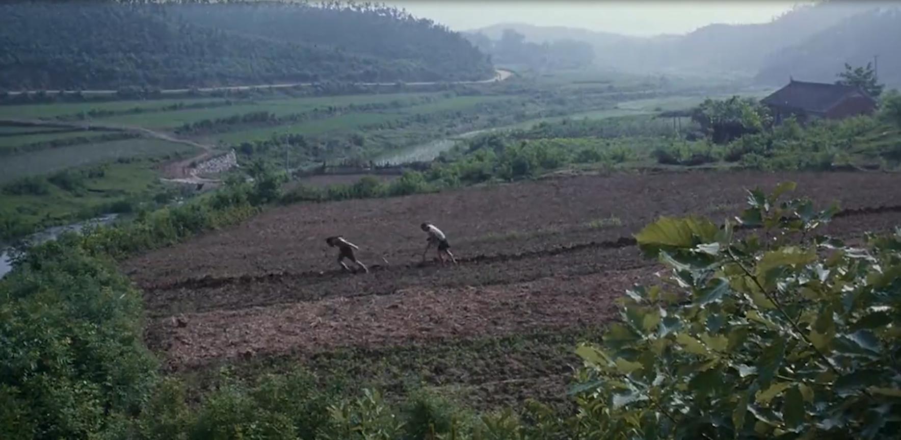 人性与欲望交织的*理片伦**，男人娶了村长的女儿，婚后让她独守空房