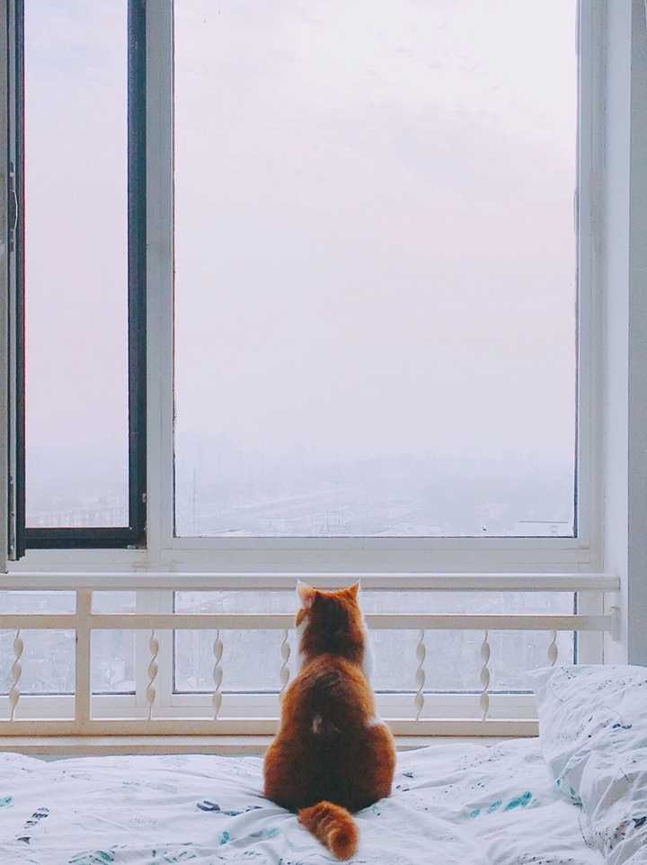 江南布衣家居服旗舰店,江南布衣儿童官方旗舰店睡衣