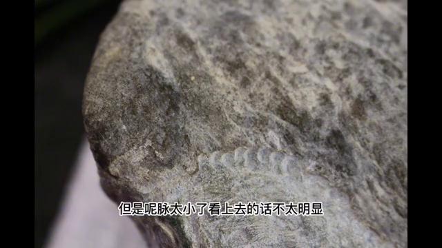 莫西沙翡翠的特征特点,肉粗的莫西沙翡翠