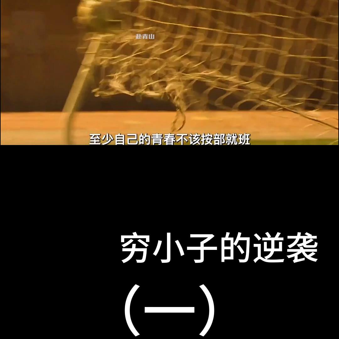 双击点赞评论视频,双击评论完整版视频