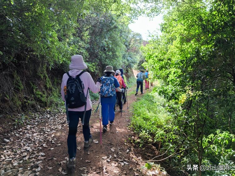 蓝天白云绿草间,蓝天白云草原绿草茵茵风景秀丽