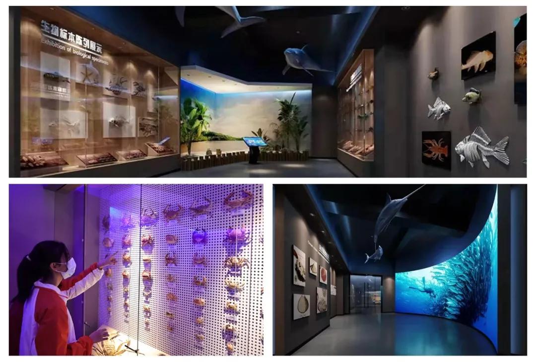 校园文化十大亮点,校园文化特色经验交流