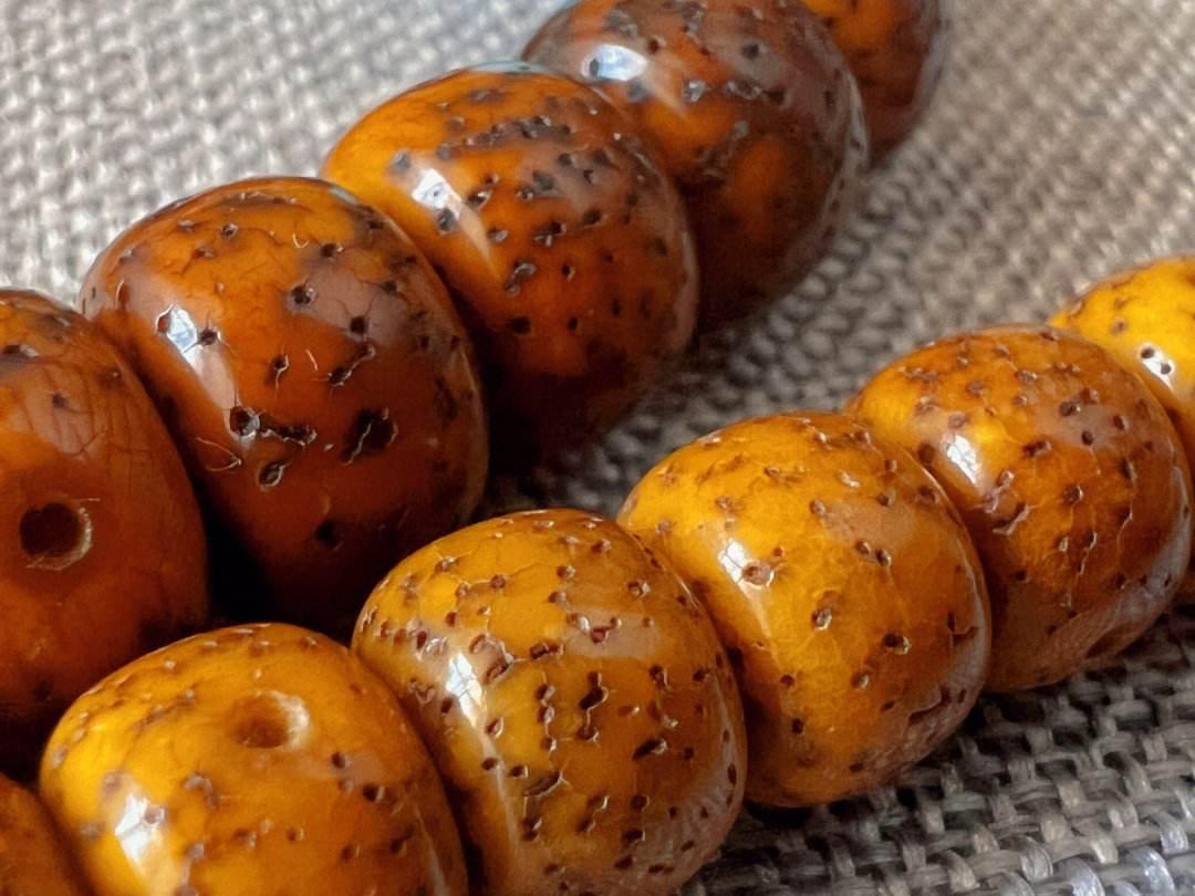 星月菩提具体盘玩步骤与方法,星月菩提怎样的适合盘玩