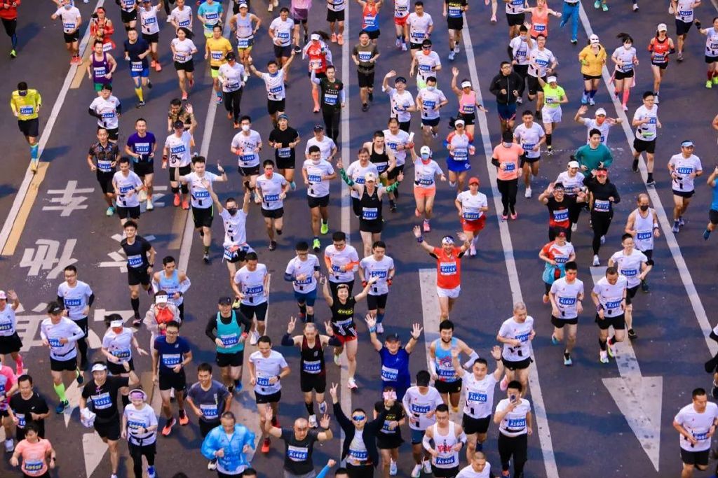 冠军的故事10个字,冠军的励志故事