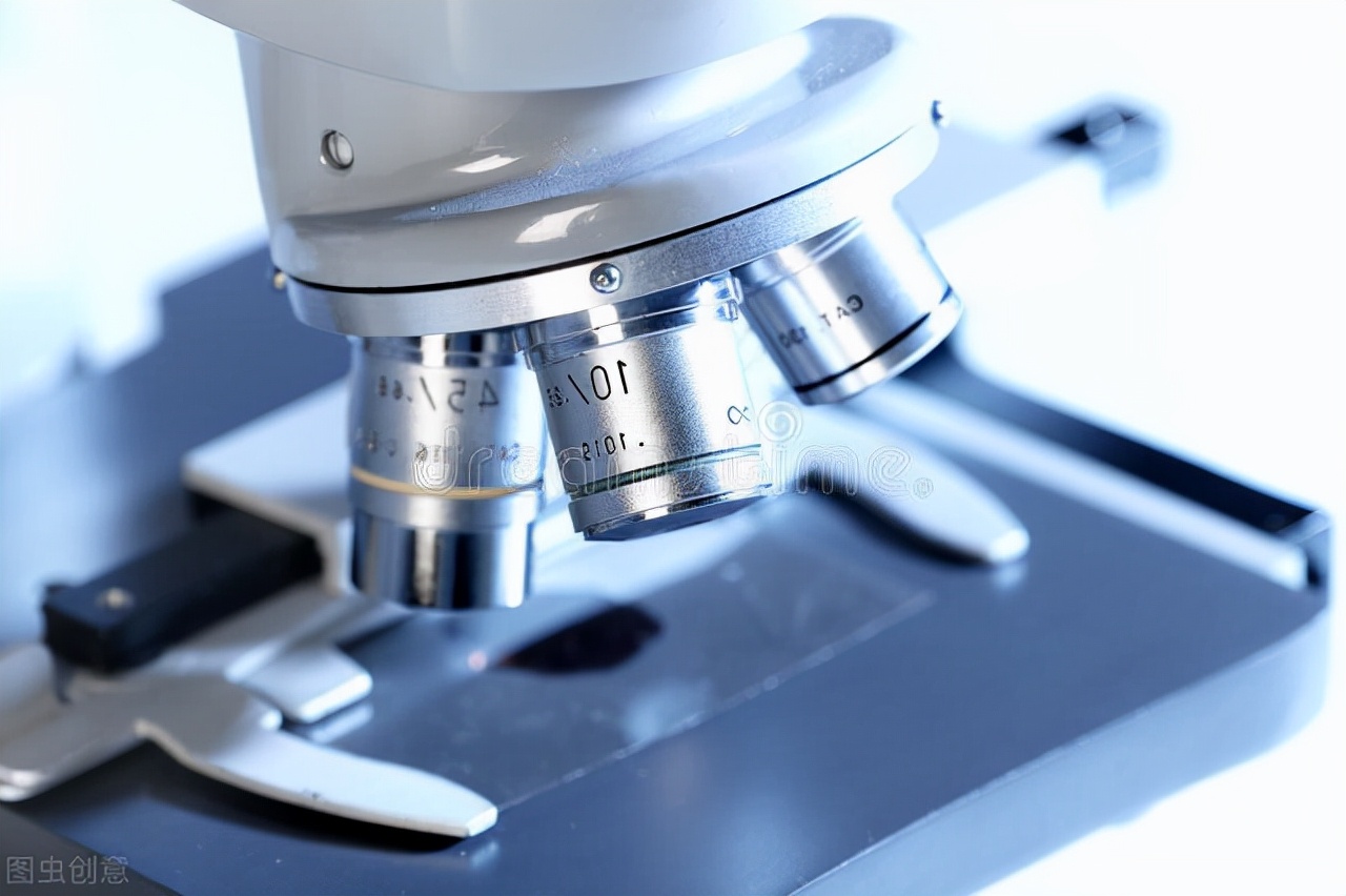 肾脏早期损伤标志物化验单怎么看,肾脏内科观察指标