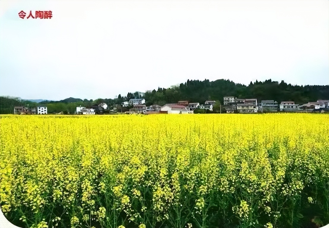 最暖心春日诗句,蓝天白云唯美七律诗词