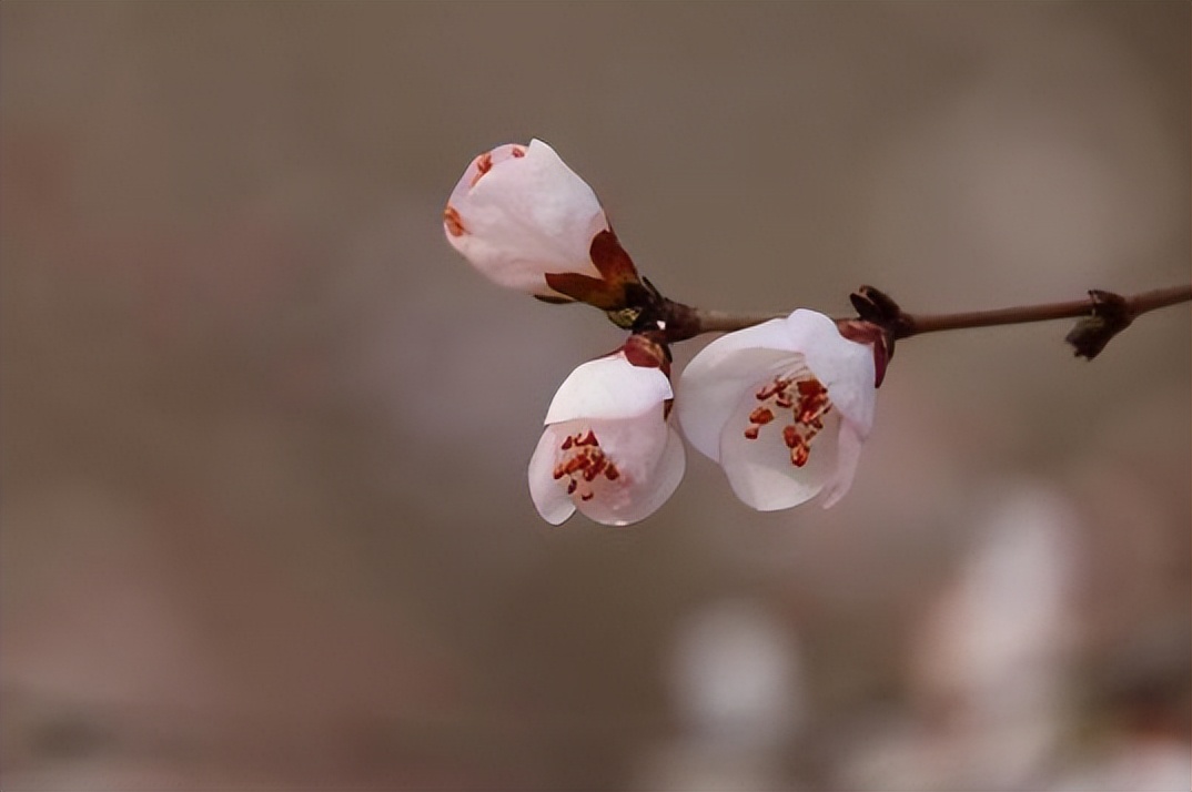 男人不联系你却还背后默默关心你,当一个男人默默关注你但不联系你