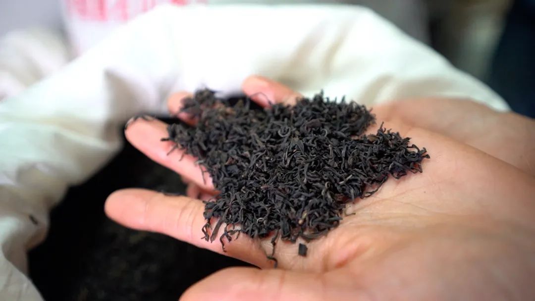 一个小时能采摘多少斤茶叶,原来采摘1斤茶叶需要4小时