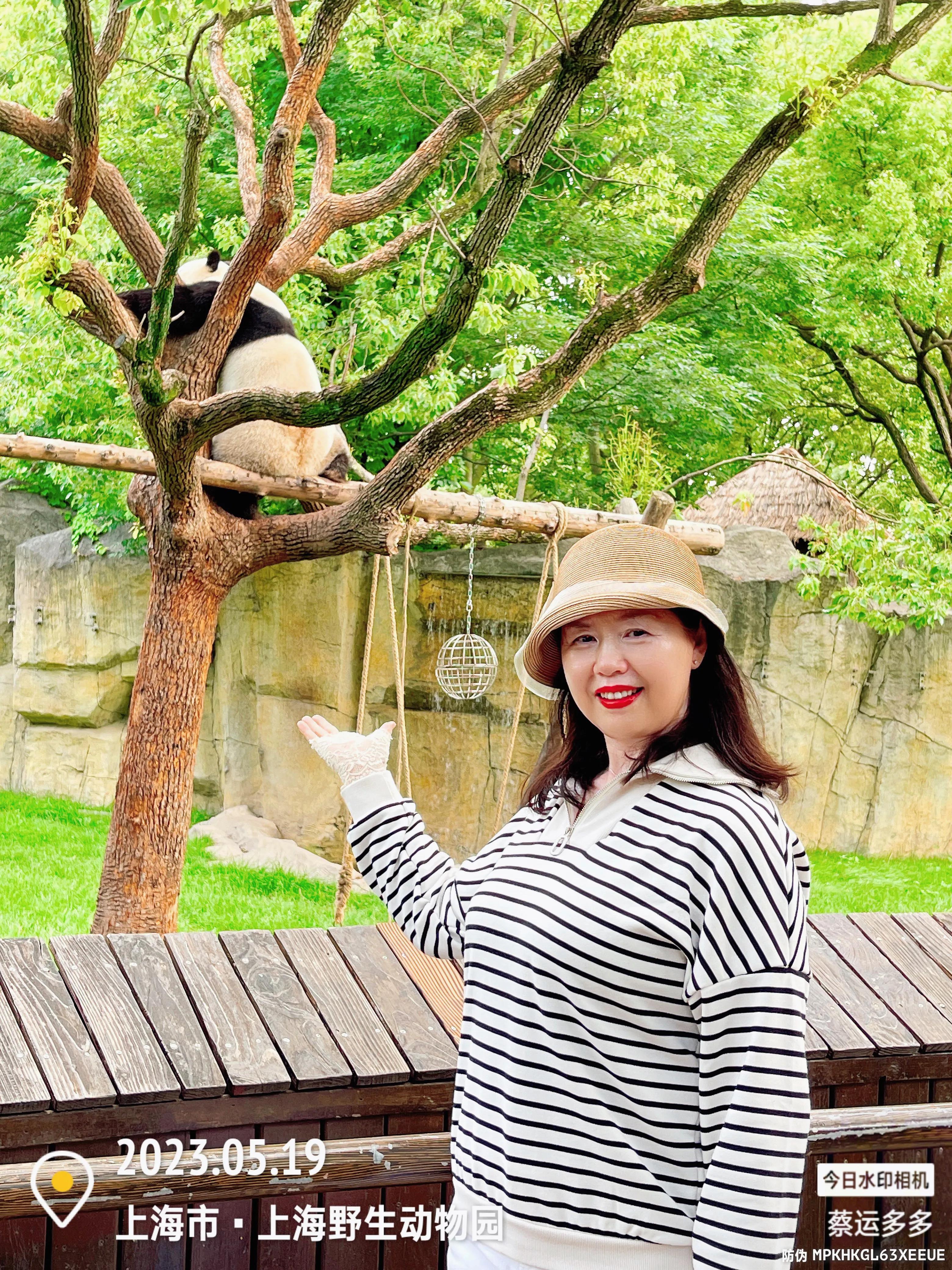 我喜爱的动物是小猫,什么动物招人喜爱