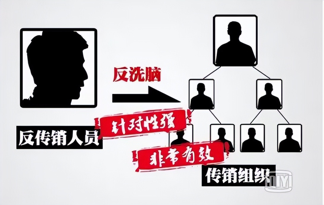 贵州贵阳乌当区打击传销,贵阳花果园传销骗局揭秘