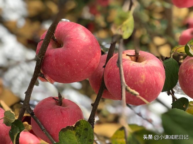 减肥可以吃的碳水食物排行一览表,减肥可以吃的碳水化合物的食物