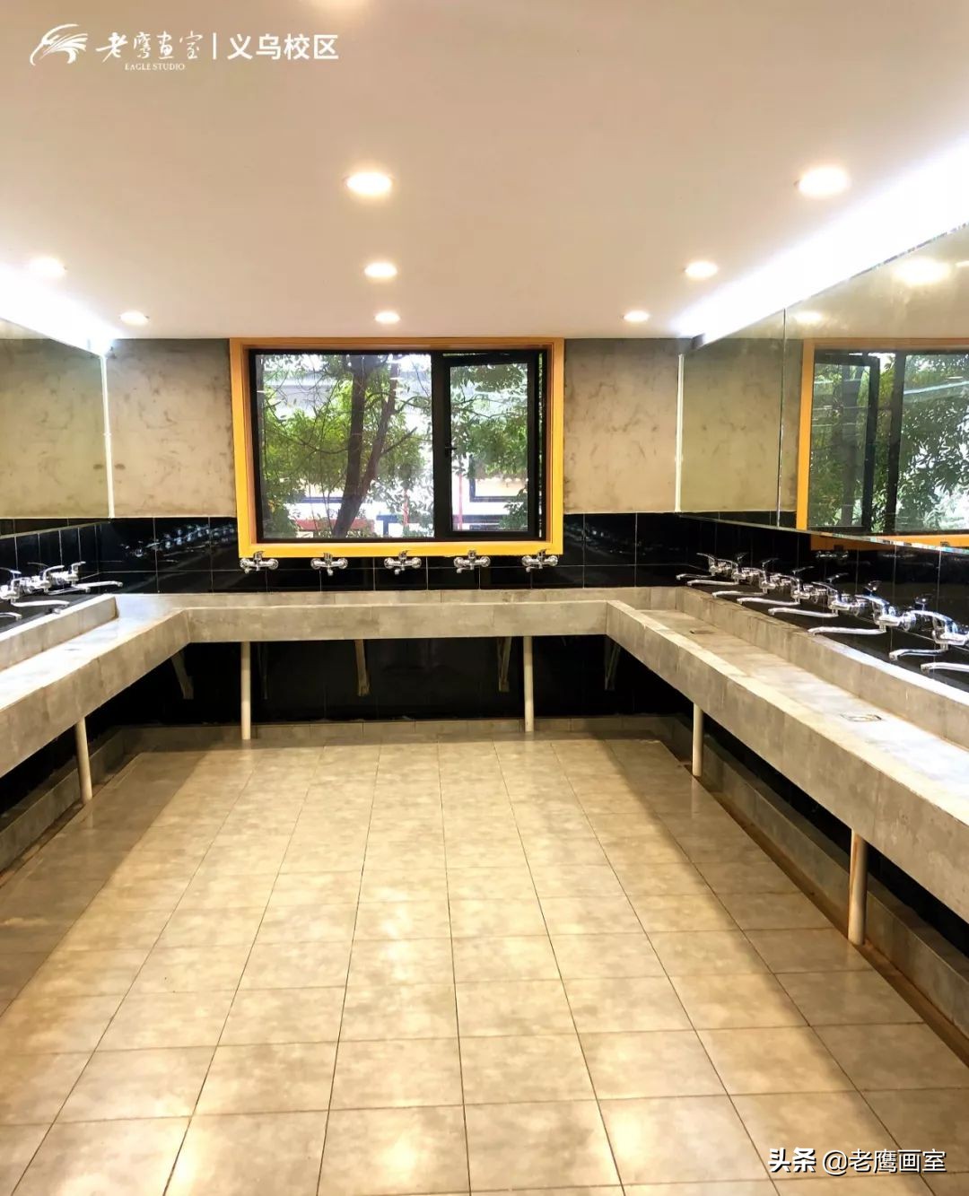 老鹰画室精品班和进阶班,成都老鹰画室和成都艺考画室