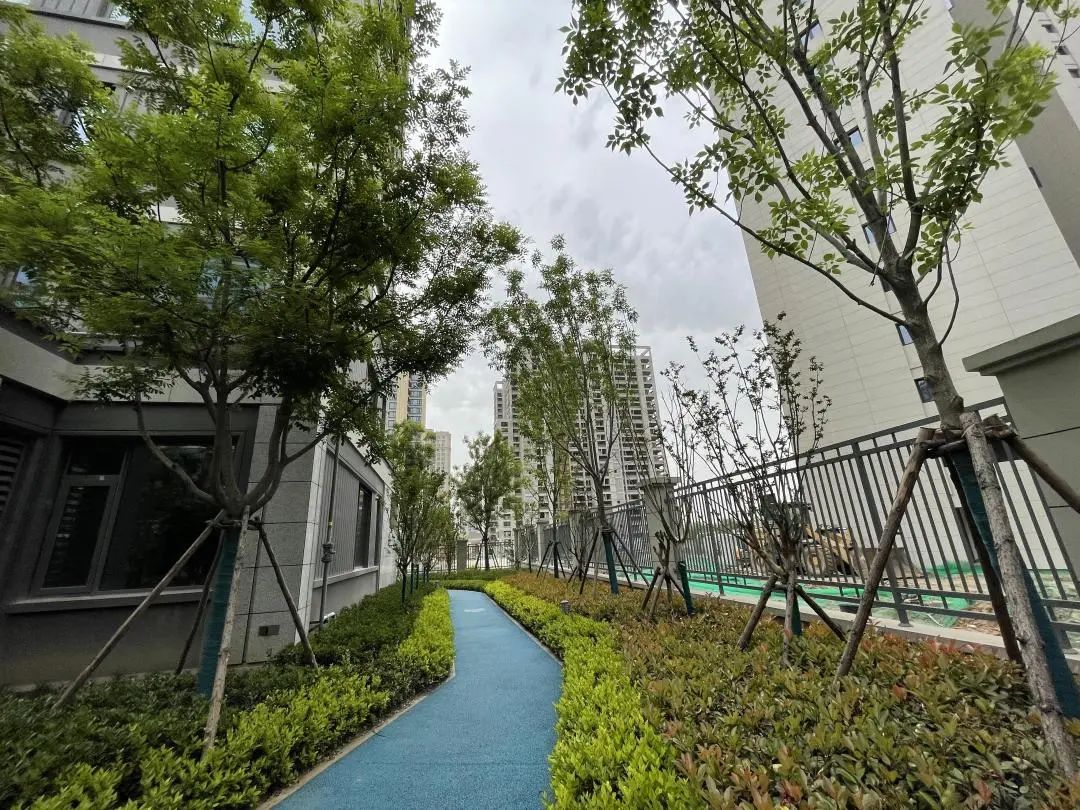 绿城桂语江南西安交房最新消息,西安绿城桂语兰庭验房