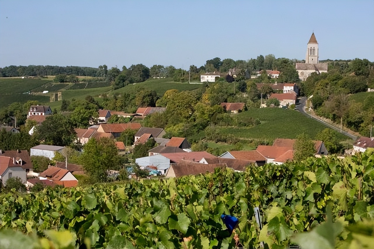 香槟葡萄园旅行,旅游香槟