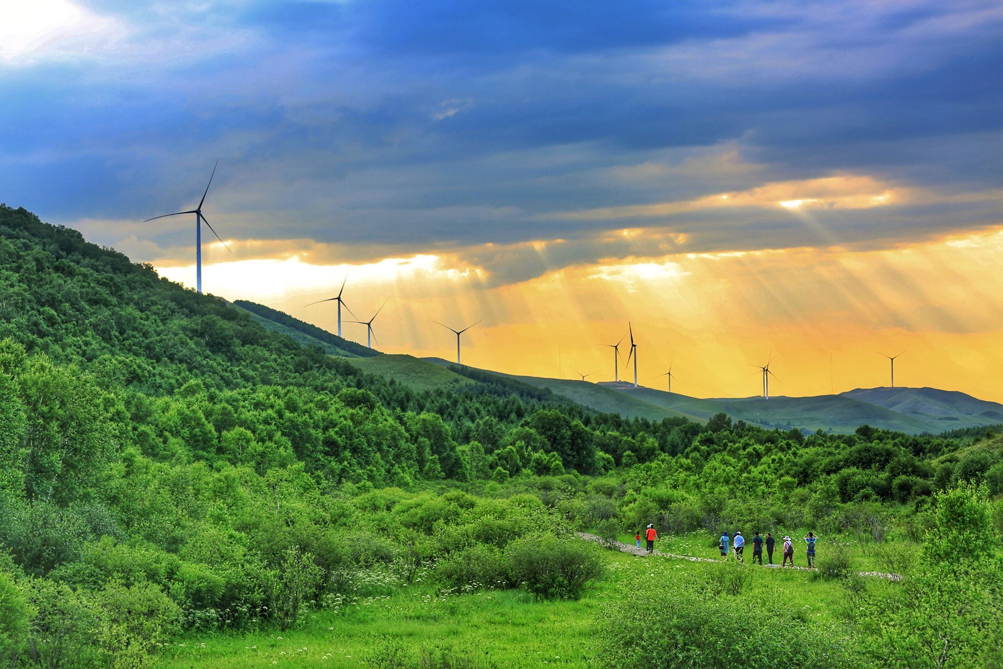 丰宁坝上七彩森林游玩攻略,丰宁坝上七彩森林