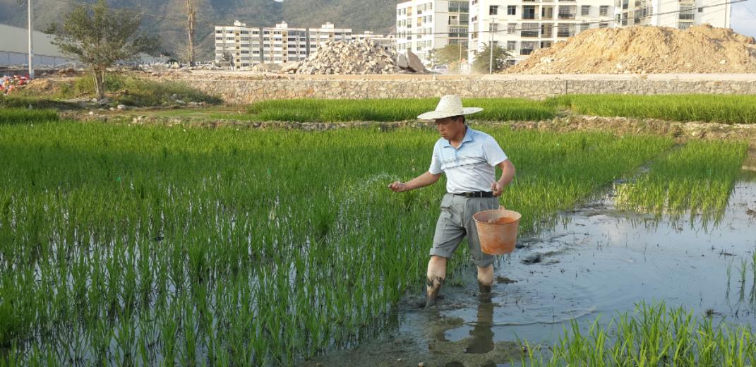 从吃饱到吃好,从吃饱到吃好再到吃出健康