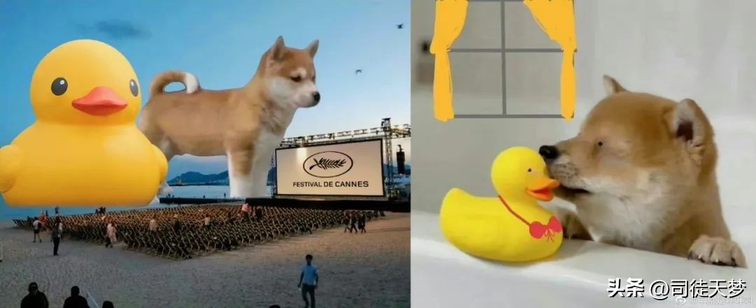 感觉啥都弄了就是没官宣,还会再官宣吗