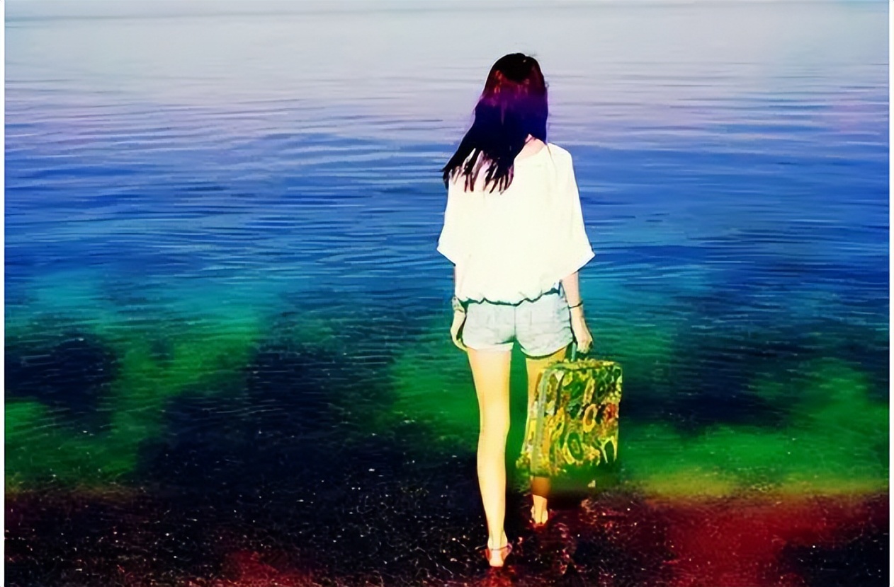 学会转身歌曲,学会转身