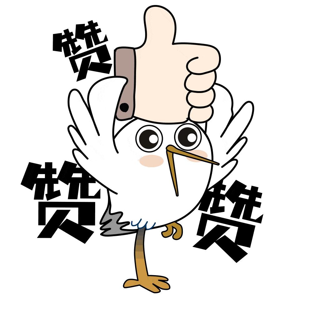 刚刚!盼了三年,首发团抵达→