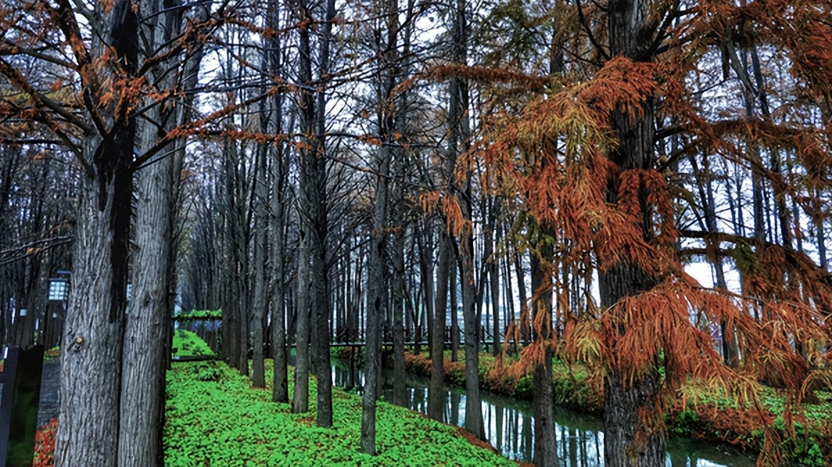 在江苏的“绿林仙海”中，寻找侠气与柔情