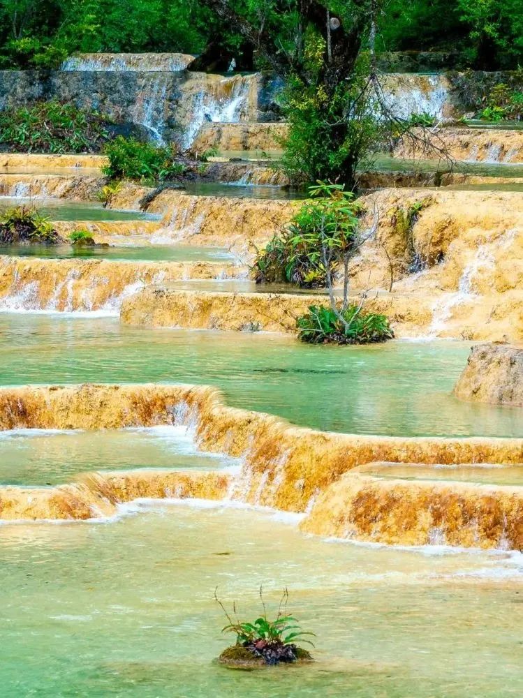 519国际旅游日浙江免费景区,记录旅游黄龙留下美好回忆