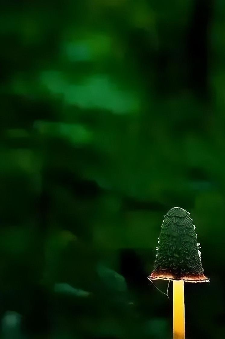 感染新冠肺炎应该注意什么,新冠肺炎患者饮食注意事项