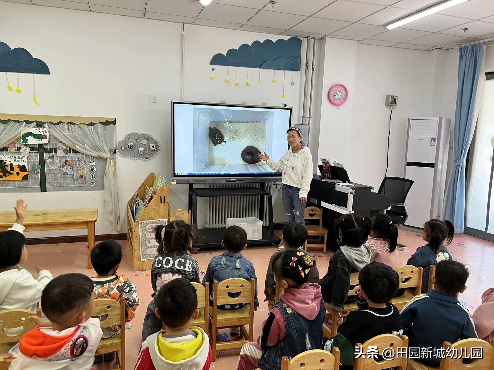 课程故事乌龟大班,嗨小鸭课程故事