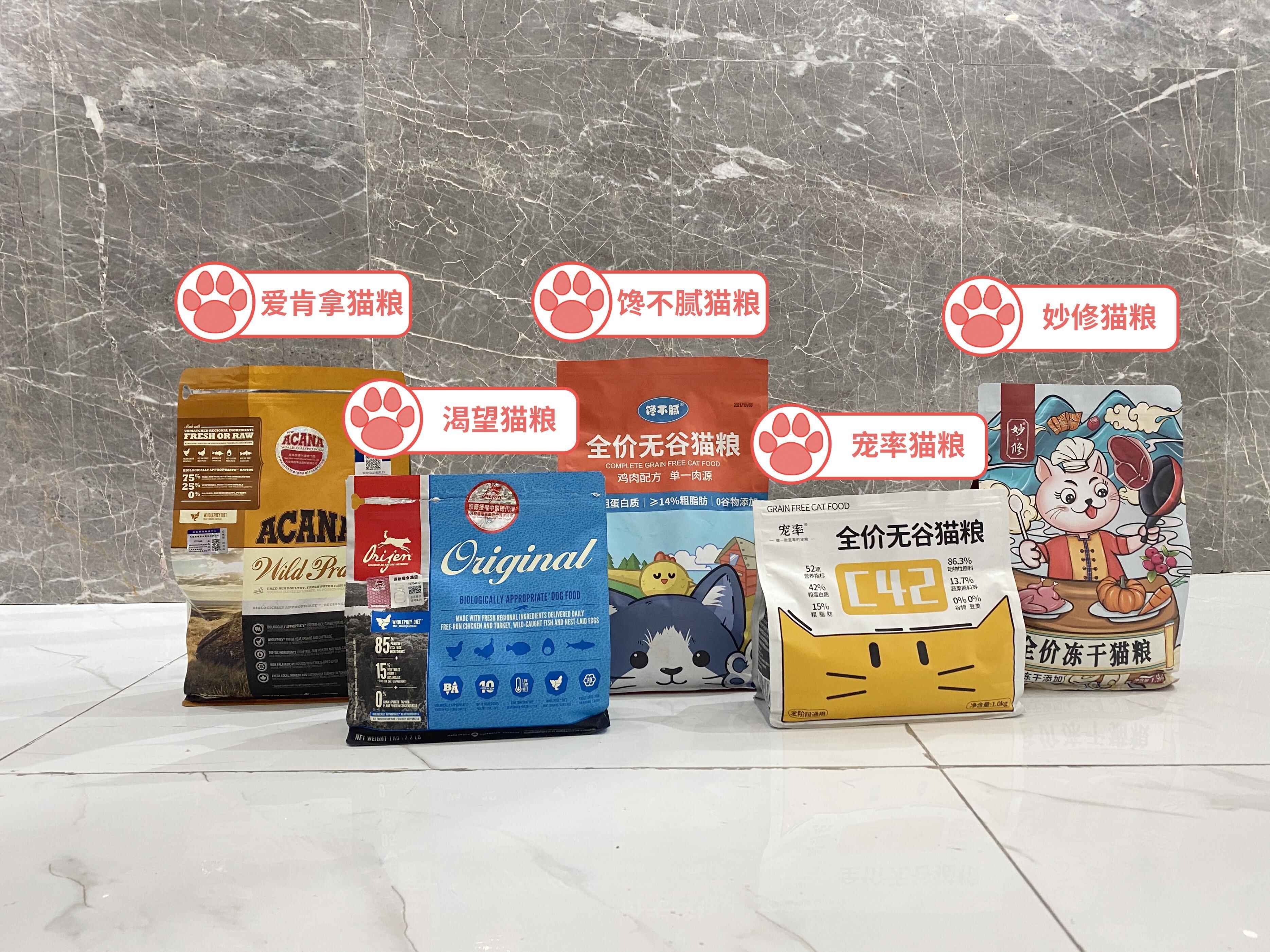 玄猫的作用,玄猫好驯服吗