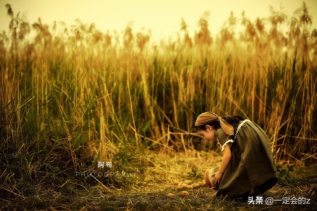 国产豆瓣高分电影,韩国动作片高分豆瓣电影