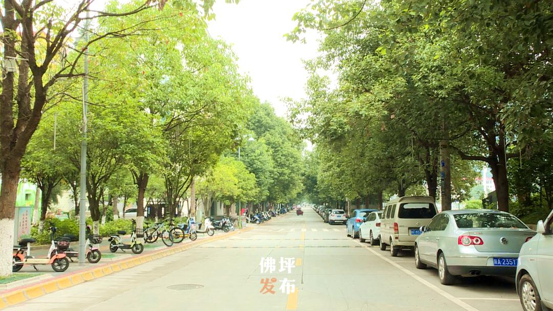 绉嬫剰娴撴鑺遍姝ｆ槸绉嬪ぉ鐨勫ソ鍘诲,绉嬫剰娴撲竴璺笂閮芥槸娴撻儊鐨勬鑺遍