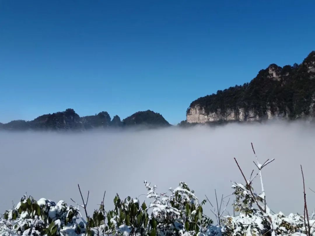 避暑胜地九坝生态度假区,九坝生态度假旅游区