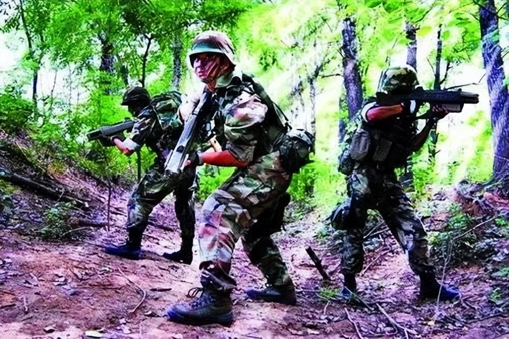 香草伊甸园景区最佳花开期,转发此文