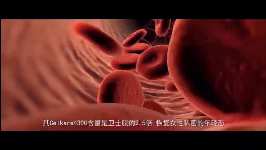 济世之才，独占鳌头，如丹是私护医疗赛道