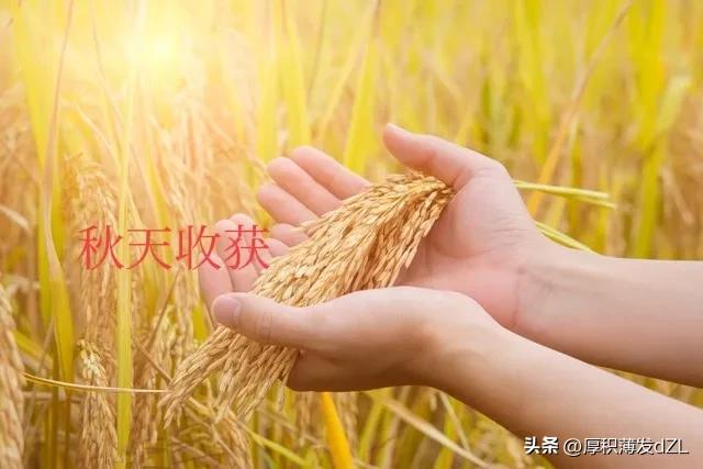 股票投资的卖出时机,基本的股票投资决策方法