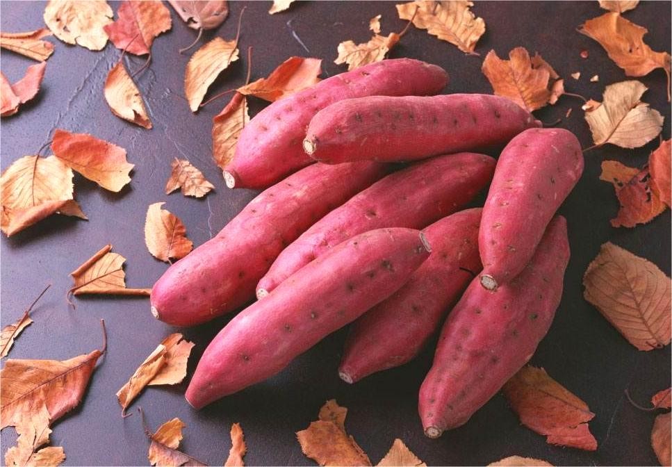 女人怕冷气血不足吃什么好呢,怕冷的女人吃什么补气血