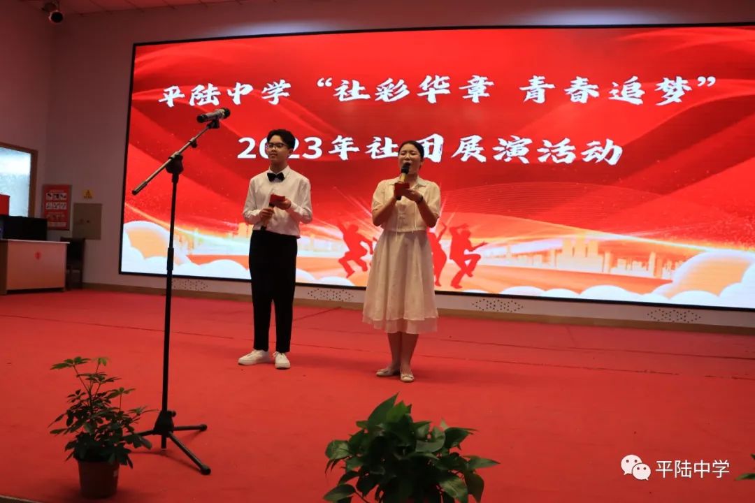 骞抽檰涓绀惧洟琛ㄦ紨,骞抽檰涓绀惧洟娲诲姩