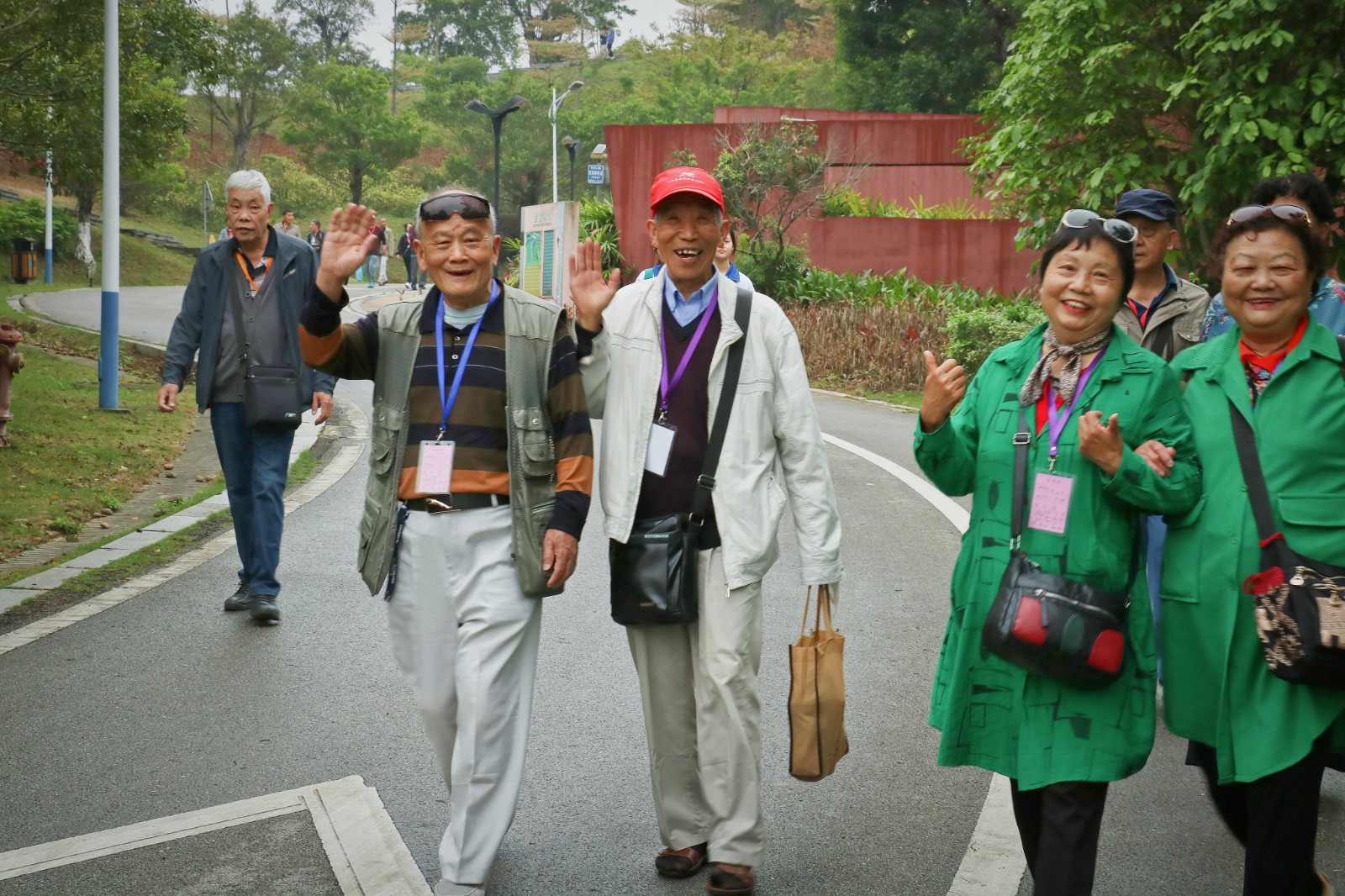 混入老年旅行团,年轻人混入老年旅游团