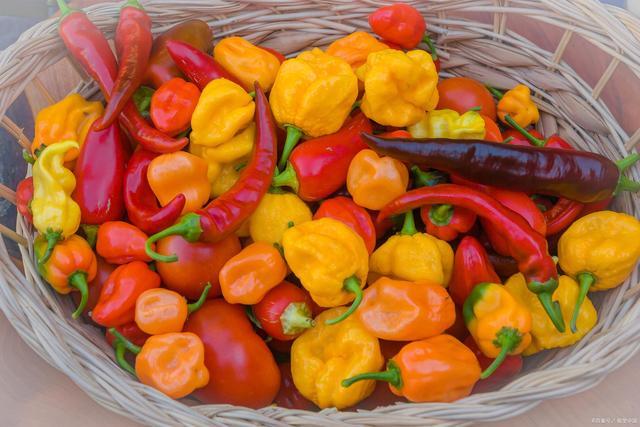 清爽解腻辣爽的美食,最新特色美味精选菜肴集