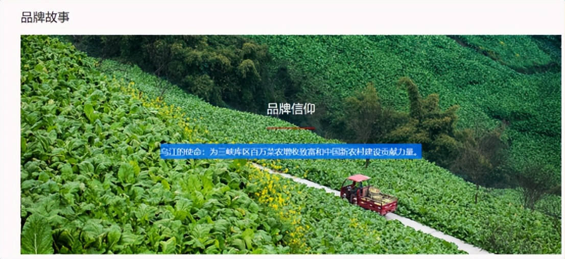 生意分析与盈利模式,容易被忽略却赚钱的行业