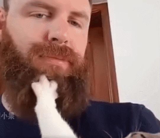 毕业季即将来临,毕业季小猫