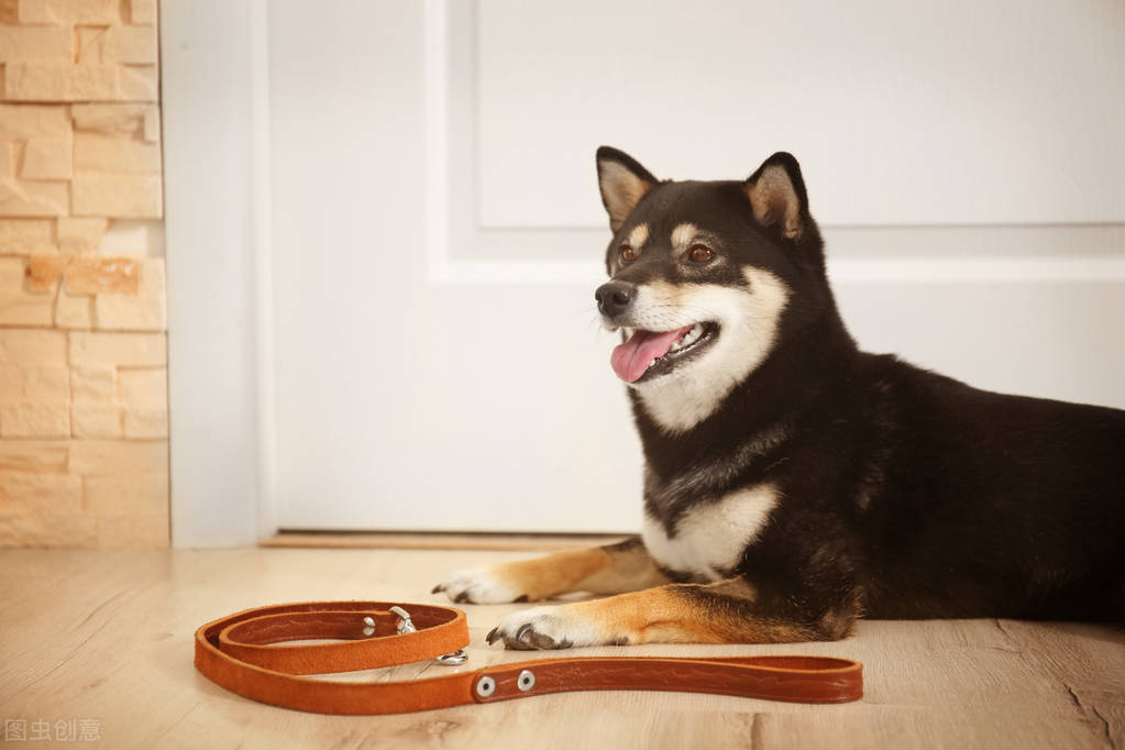 居奇可货的成语大全,奇货可居365个成语视频