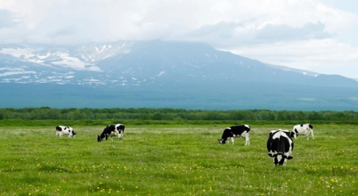优博瑞慕乳清蛋白奶粉,优博瑞慕奶粉怎么样3段