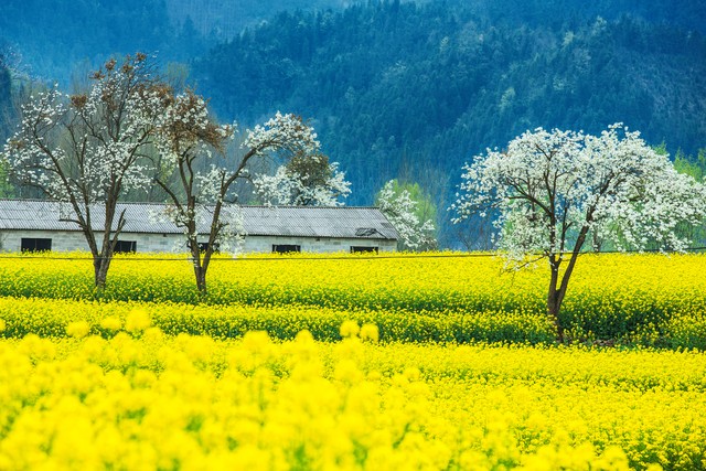 做自己忠实的朋友,自己做自己的好朋友